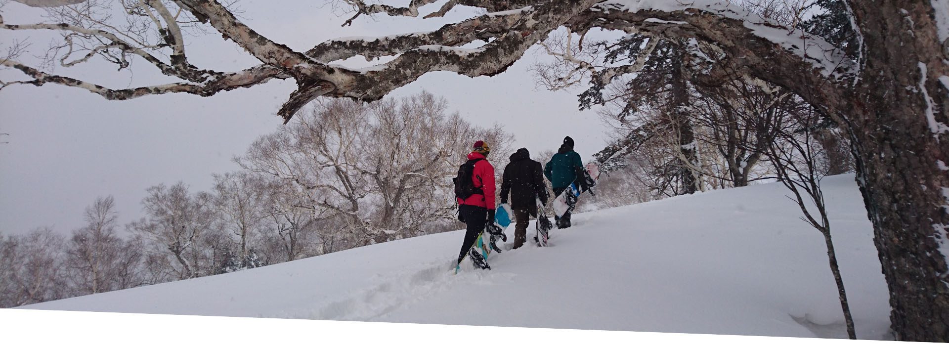 Freeride Boards